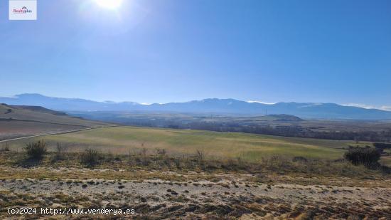 101- FINCA RÚSTICA VENTA EN RENTABILIDAD - SEGOVIA