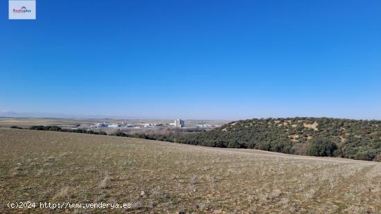 101- FINCA RÚSTICA VENTA EN RENTABILIDAD - SEGOVIA