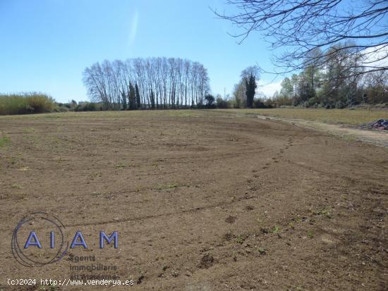  Parcela Agrícola en Tordera - BARCELONA 