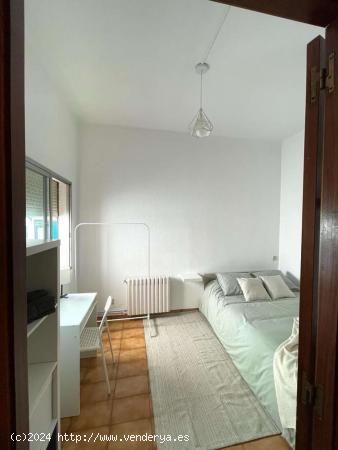 Se alquila habitación en apartamento de 3 dormitorios en Barcelona - BARCELONA