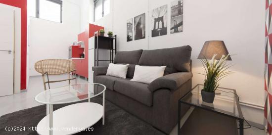  Apartamento entero de 1 habitaciones en Madrid - MADRID 