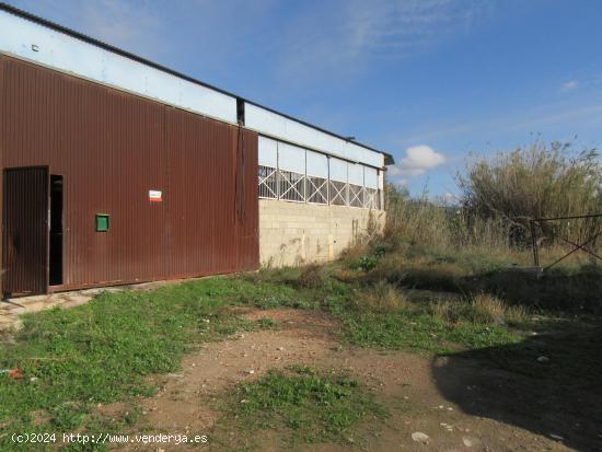 NAVE INDUSTRIAL DE 1420M2 + TERRENO RÚSTICO DE 10000M2 CON POSIBILIDAD DE VIVIENDA DE 200m2 - ALICA