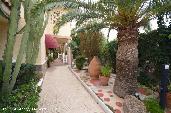 Fabulosa Villa de Lujo en La Veleta de Torrevieja a 80 metros del Mar - ALICANTE