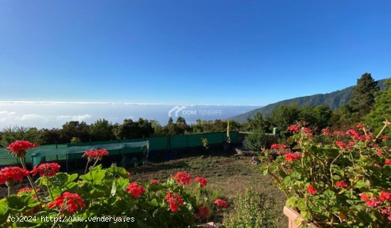 Casa de campo-Masía en Venta en Orotava, La Santa Cruz de Tenerife