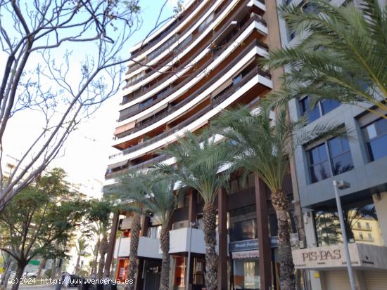 Preciosa vivienda en la mismisima Plaza de los Luceros.(SIN AMUEBLAR) - ALICANTE