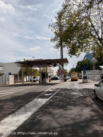 Oficina en alquiler en la Cartuja, Sevilla - SEVILLA