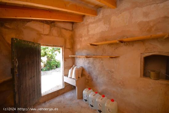 Finca rústica con posibilidad de vivienda en  Muro - BALEARES