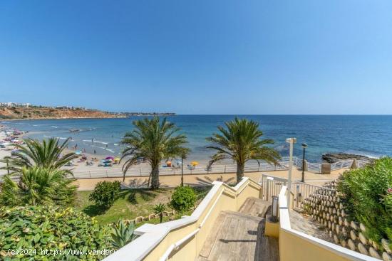 Amplio apartamento 50m de la playa en Aguamarina - ALICANTE