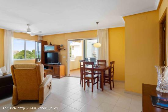 Amplio apartamento 50m de la playa en Aguamarina - ALICANTE