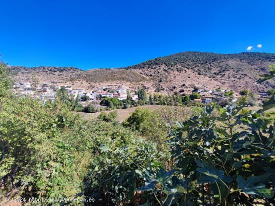  TERRENO EN EL TOCÓN DE QUÉNTAR - GRANADA 