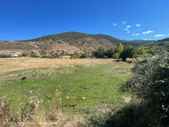 TERRENO EN EL TOCON DE QUENTAN CON AGUA Y LUZ EN LA PUERTA. - GRANADA