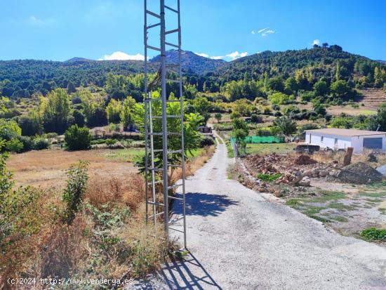 TERRENO EN EL TOCON DE QUENTAN CON AGUA Y LUZ EN LA PUERTA. - GRANADA