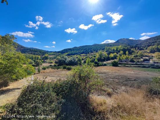 TERRENO EN EL TOCON DE QUENTAN CON AGUA Y LUZ EN LA PUERTA. - GRANADA