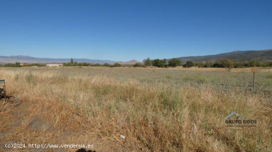 Finca en venta en Jerez del Marquesado - GRANADA