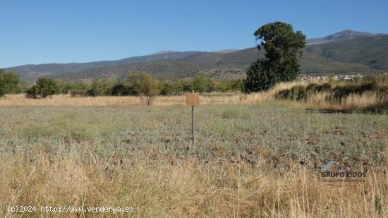 Finca en venta en Jerez del Marquesado - GRANADA