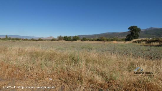 Finca en venta en Jerez del Marquesado - GRANADA