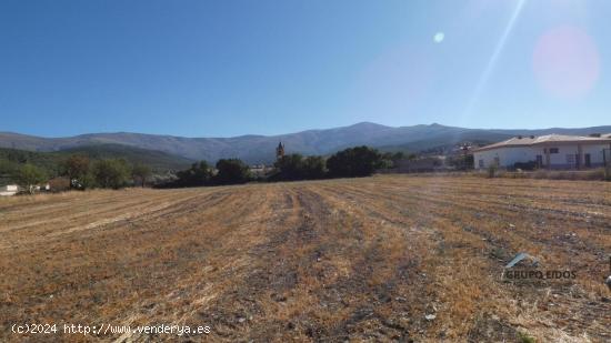  Finca en venta en Jerez del Marquesado - GRANADA 