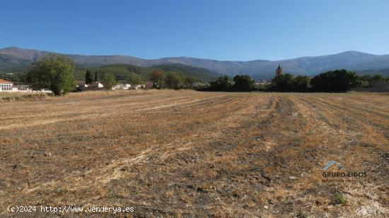 Finca en venta en Jerez del Marquesado - GRANADA