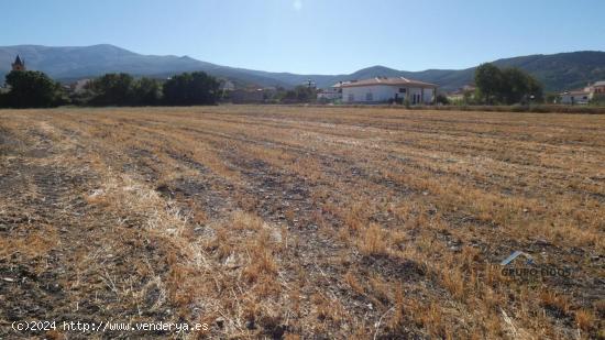 Finca en venta en Jerez del Marquesado - GRANADA