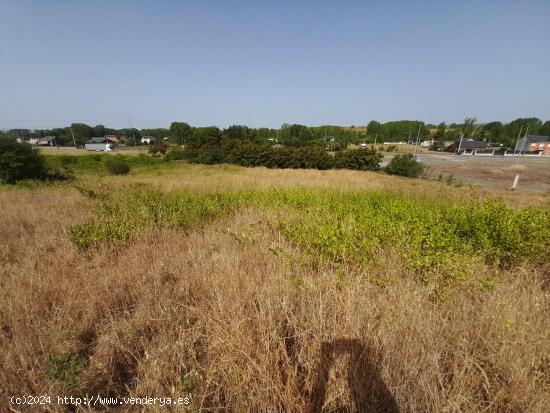 FINCAS URBANAS EN SAN ANDRES DE MONTEJOS - LEON