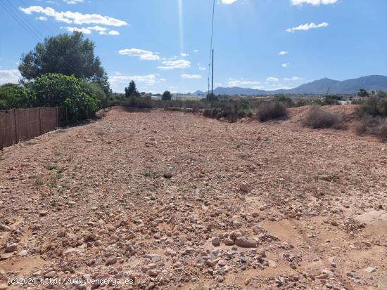 Terreno en Partida Deula - ALICANTE