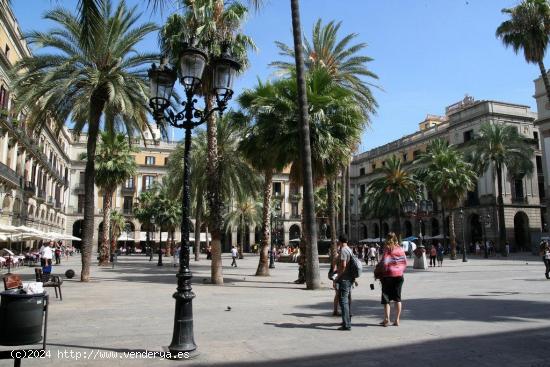 BONITO PISO EXTERIOR EN ALQUILER - BARCELONA