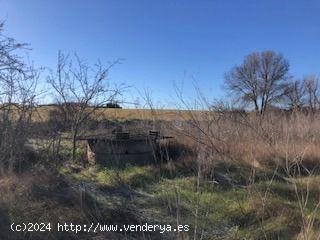 FINCA DE RECREO MUY CERCANA A ZAMORA - ZAMORA