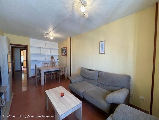 Fantástico apartamento en el centro de Almoradí, Alicante, Costa Blanca - ALICANTE