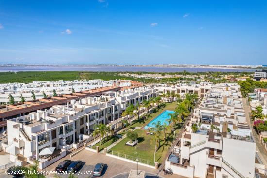 Obra nueva Los Balcones ( Torrevieja ) Planta Baja - ALICANTE