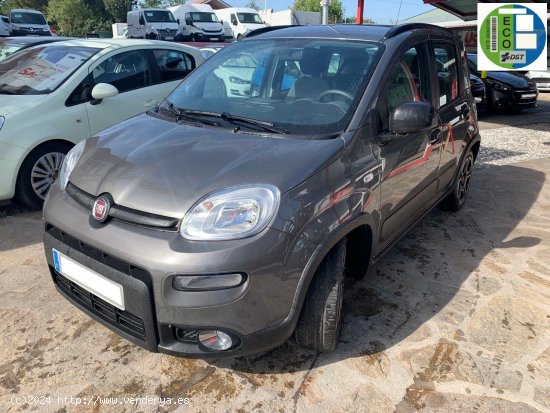 Fiat Panda City Life Hybrid 1.0 Gse 51kw 70CV - Collado Villalba