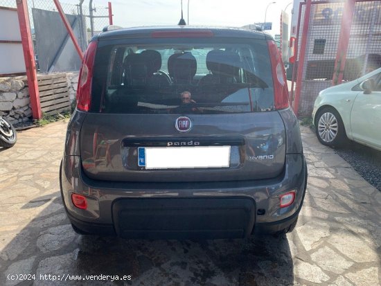 Fiat Panda City Life Hybrid 1.0 Gse 51kw 70CV - Collado Villalba