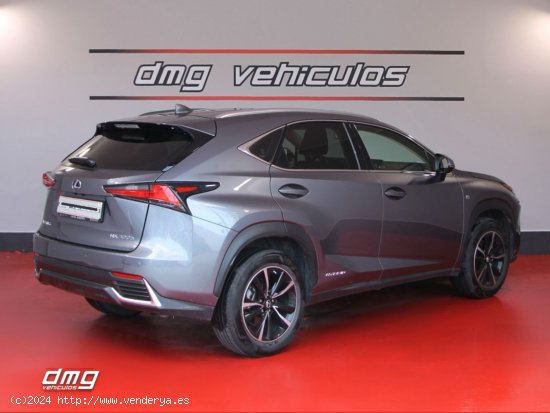 Lexus NX 2.5 300h Business Navigation 2WD 5p. 197Cv - Rubí