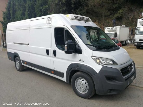 Fiat Ducato ducato maxi multijet frigorifico de congelacion,con thermografo fiat ducato maxi frigori