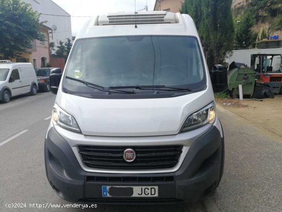 Fiat Ducato ducato maxi multijet frigorifico de congelacion,con thermografo fiat ducato maxi frigori