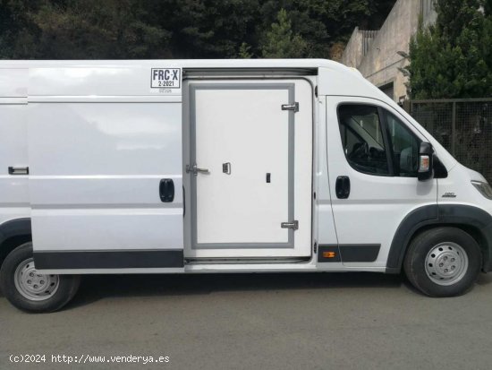 Fiat Ducato ducato maxi multijet frigorifico de congelacion,con thermografo fiat ducato maxi frigori