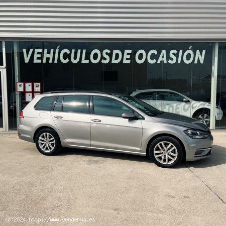 Volkswagen Golf Advance 1.6 TDI 85kW (115CV) Variant familiar - Sant Celoni