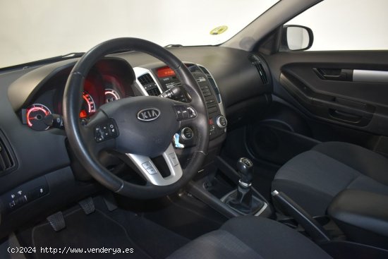 Kia Pro_Ceed 1.6 CRDI 90CV 3P - Molins de Rei