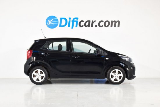 Kia Picanto Concept Plus 1.0 70CV - Molins de Rei