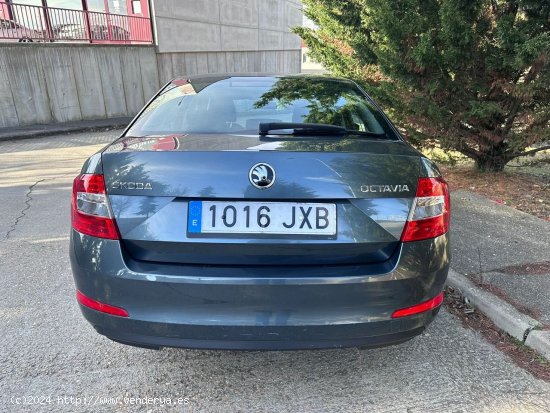 Skoda Octavia 1.6TDI - Burgos