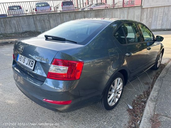 Skoda Octavia 1.6TDI - Burgos