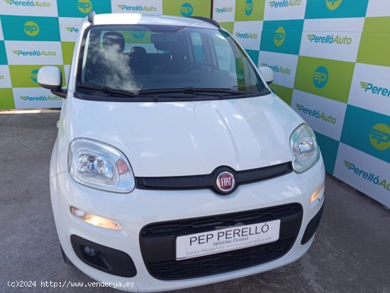 Fiat Panda LOUNGE 1.2 69 CV 5P - Santa Margalida