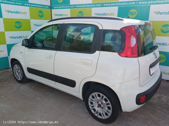 Fiat Panda LOUNGE 1.2 69 CV 5P - Santa Margalida