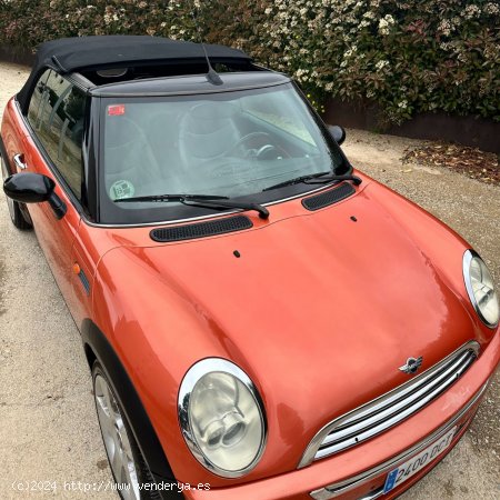 MINI Cooper Cabrio  Con asientos de piel - ROSES