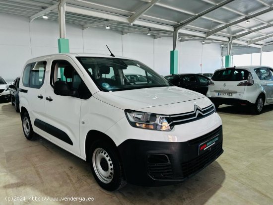 Citroën Berlingo 1.5 TALLA M BLUEHDI 100CV LIVE - Utrera