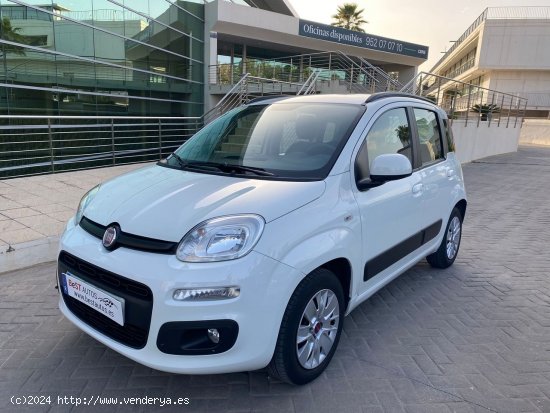 Fiat Panda 1.2 EASY 69 CV - Campanillas