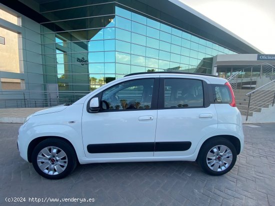 Fiat Panda 1.2 EASY 69 CV - Campanillas