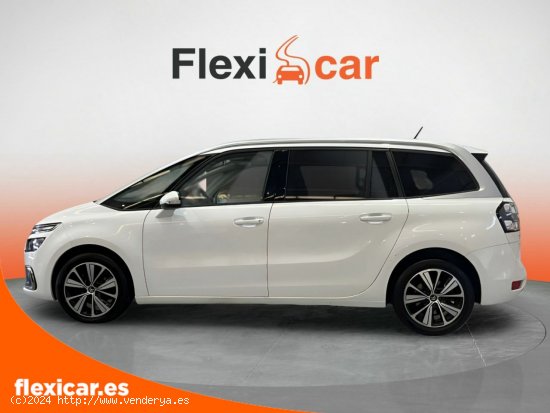 Citroën Grand C4 Picasso PureTech 96KW (130CV) S&S 6v EAT6 Feel - 7 P (2017) - Sevilla