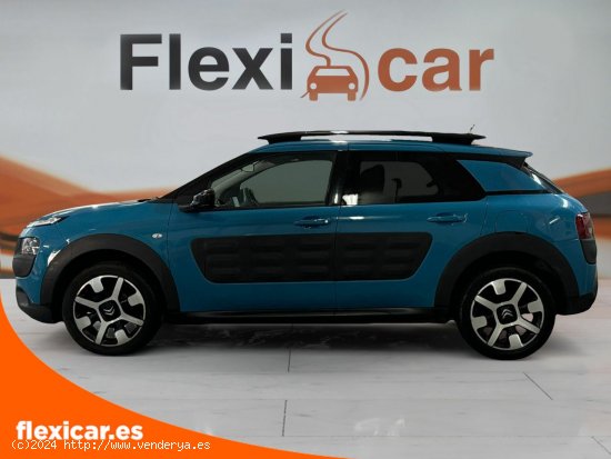 Citroën C4 Cactus BlueHDi 73KW (100CV) Feel - Marbella