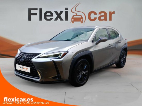 Lexus UX 2.0 250h Business Navigation - Vigo