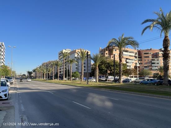 LOCAL CON FACHADA A AVDA. JUAN DE BORBON - MURCIA